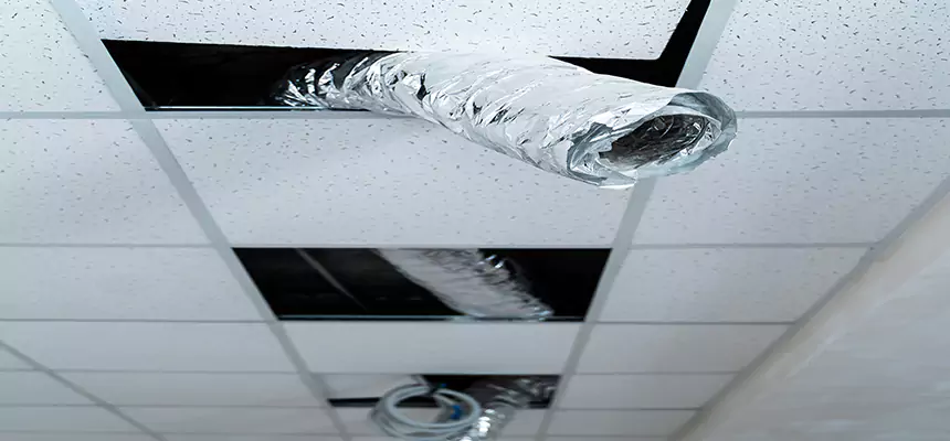 Our Air Duct Pet Hair Removal Services in Highland, CA