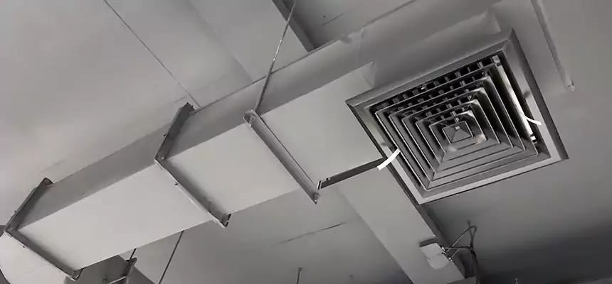 Our Pest Removal From Ducts Services in Highland, CA