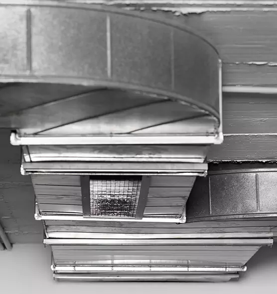 Professional Air Duct Pest Removal in Highland, CA