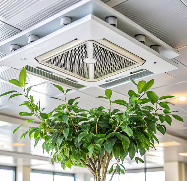 Why Homeowners & Businesses Trust Us in Highland, CA?